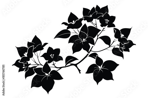 bougainvillea silhouette line art vector illustration