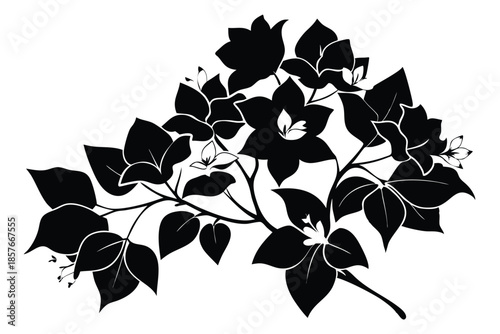 bougainvillea silhouette line art vector illustration