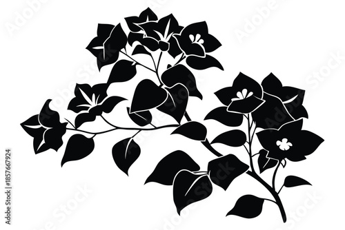 bougainvillea silhouette line art vector illustration