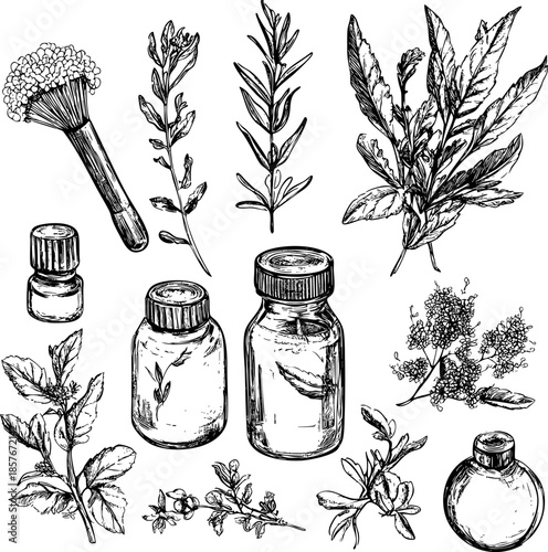 Collection of hand-drawn herbal remedies and essential oil bottles.