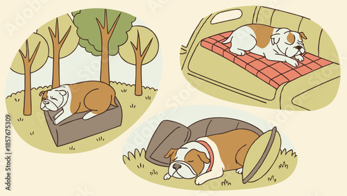 Cute English Bulldog Sleeping Comfortably in Various Locations Dog Bed Car Seat and Floor Peaceful Pet Relaxation Lifestyle Vector Illustration