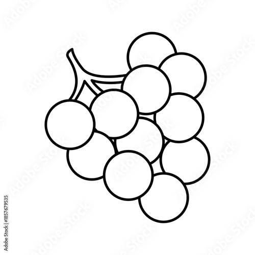 Grapes bunch line art outline icon vector illustration
