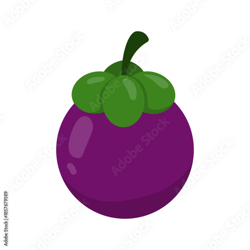 Purple mangosteen fruit flat color illustration isolated vector
