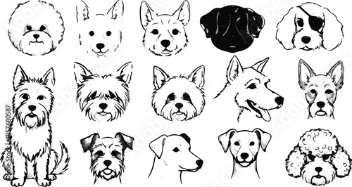 Hand Drawn Black and White Dog Breeds Illustration Set. Diverse Canine Head and Full Body Sketches.