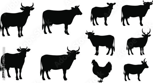 Collection of black silhouettes of cows bulls and chicken on white background cow silhouette bull silhouette