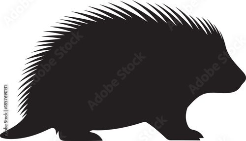 A striking silhouette of a porcupine showcasing its distinctive quills and form