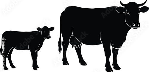 Silhouette of a Cow and Calf Standing Together on White Background Keywords: cow, calf, cattle, bovine, animal, livestock, farm