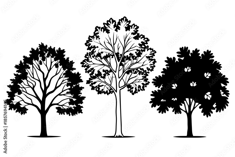 Obraz premium Autumn Quercus Palustris Tree Set Botanical Vector Illustration