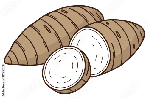 Taro Root Plant Natural Food Vector Art