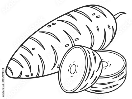 Taro Root Botanical Food Vector Illustration