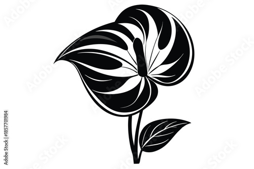anthurium silhouette line art vector illustration