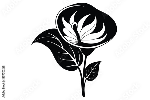 anthurium silhouette line art vector illustration