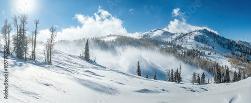 Sunlit Gusts of Powder Snow Sweep Across a Majestic Alpine Vista