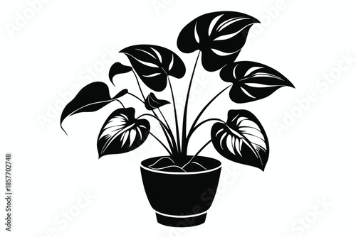 anthurium silhouette line art vector illustration