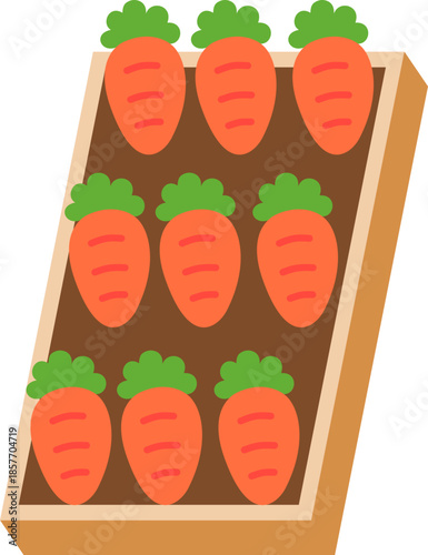 Wooden Raised Garden Bed Filled With Carrot Plants