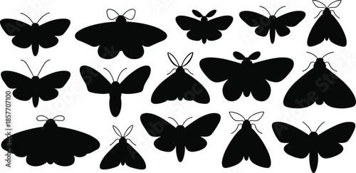 Moth silhouettes, insect shapes, black vector icons, winged creatures, entomology clipart, flying insects, nature design, bug illustration, nocturnal species, wing variation, insect bundle