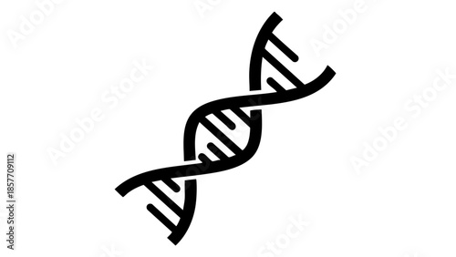 A visual representation of the double helix structure of DNA