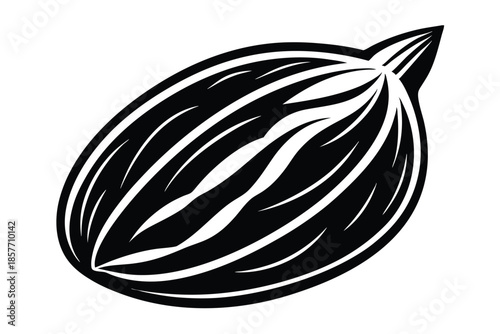 almond silhouette line art vector illustration