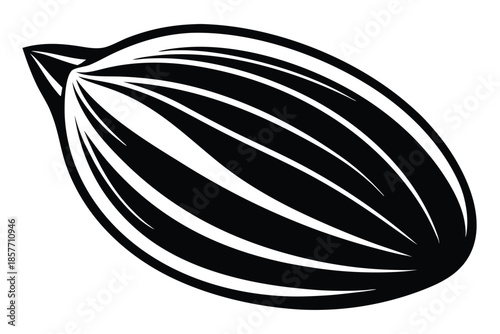 almond silhouette line art vector illustration