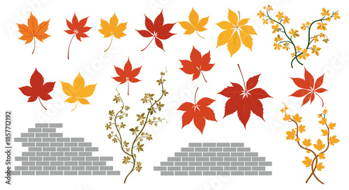 Assorted collection of colorful autumn maple leaves and climbing vines with rustic brick wall textures for fall themed decorations.