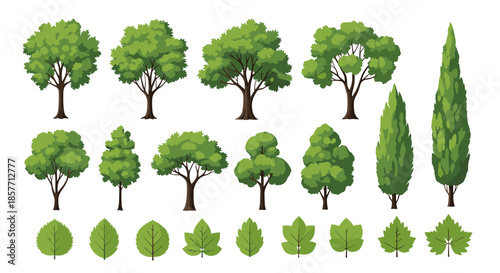 Assorted collection of green tree silhouettes and detailed leaf icons for forest mapping and nature conservation illustrations.