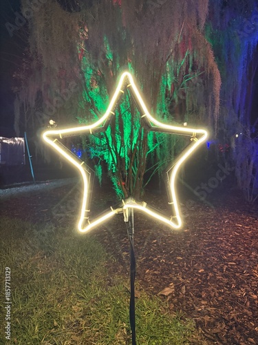 Illuminated star decoration in a festive outdoor park