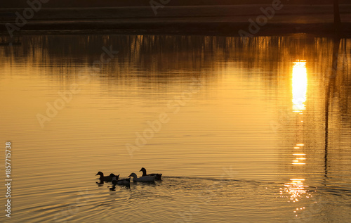 sunset on the lake
