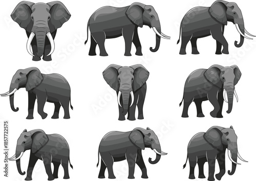 Collection of elephant vector illustrations featuring realistic silhouettes, cute cartoon characters, and colorful tribal patterns isolated on white background for diverse design.