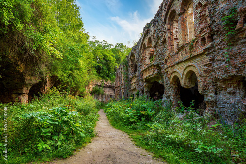 Ancient brick walls of Tarakaniv Fort stand as historical ruins, with lush green vegetation reclaiming structures and creating a path through the overgrown architectural reminder of the past