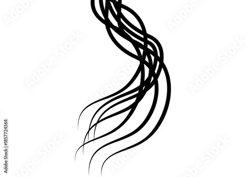 Vector curl of hair from black lines on white background. Design element. Pattern for covers, advertising, printing, Fashionable vector background
