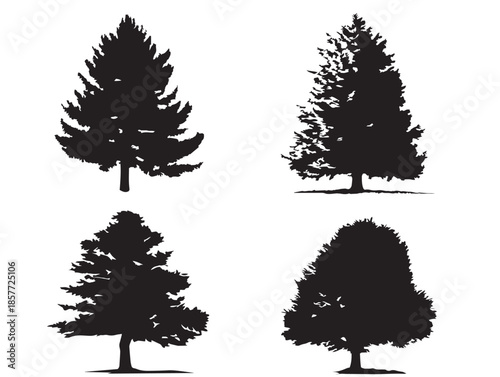 A stunning collection of four elegant black conifer tree silhouette illustrations