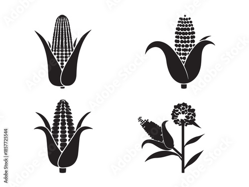 A gorgeous and rustic set of corn silhouette vector illustrations