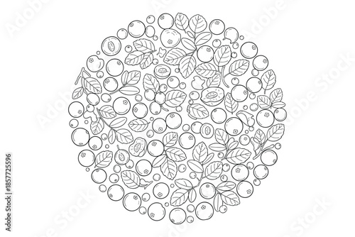 Vector illustration of blueberries background with berry branches and leaves in doodle style.