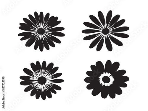 A gorgeous and elegant set of daisy silhouette icons in white