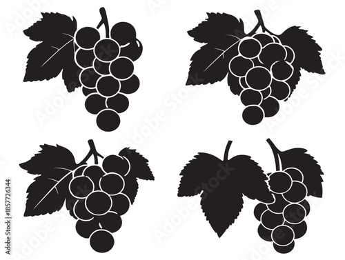 A gorgeous and detailed set of grape leaf and vine silhouette illustrations