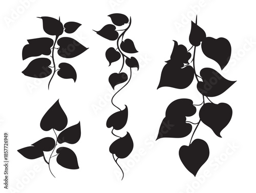 A gorgeous set of four stunning black ivy leaf vector illustrations