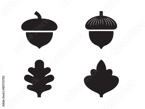 A gorgeous collection of four minimalist black acorn vector icons