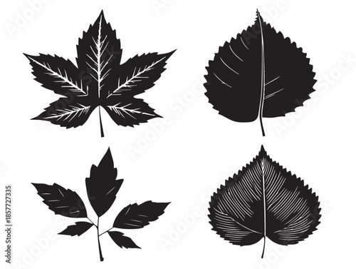 A stunning set of four detailed autumn leaf silhouette icons in solid black