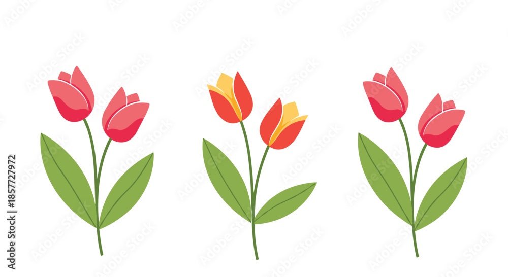 Fototapeta premium Set of three simple and charming tulip illustrations with green stems and leaves, isolated on a clean white background.