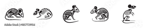 vector set of mouse skeleton bones silhouettes