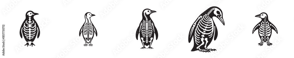 Fototapeta premium a set of penguin skeleton silhouette vectors