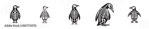 a set of penguin skeleton silhouette vectors