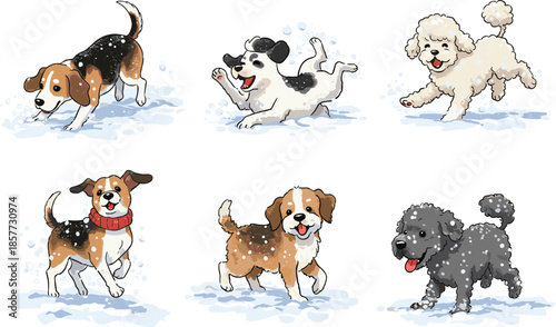 Cute dogs playing in winter snow, happy pets, outdoor snowy day fun