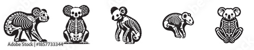 vector set of koala skeleton bones silhouettes