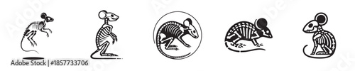 vector set of mouse skeleton bones silhouettes