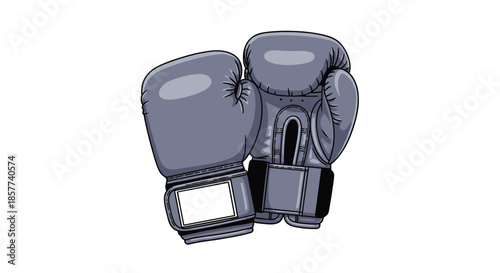 Pair of professional leather boxing gloves is shown together for use in combat sports, martial arts, or fitness training workouts.