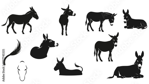 Black donkey silhouettes collection