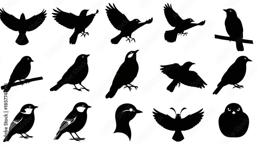 Obraz premium Bird silhouettes collection