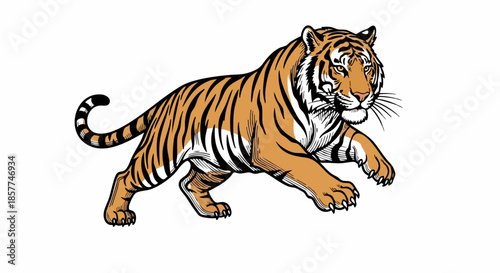 Tiger Illustration with Detailed Stripes and Expression.