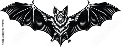 Black and white bat vector illustration, flying nocturnal mammal with spread wings, gothic animal mascot, spooky halloween clip art, vintage woodcut style engraving. (24 words)